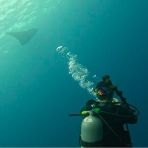 Meet your Posher, Rebecca